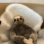 Hotel Hotel Senator