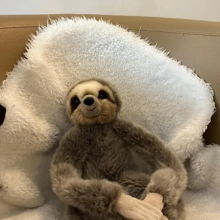 Hotel Senator