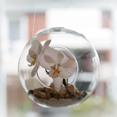 Senator 빌레펠트